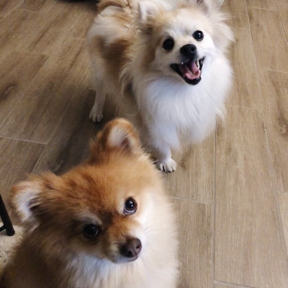 • MEET THE SELLER • - Picture 2 of 2